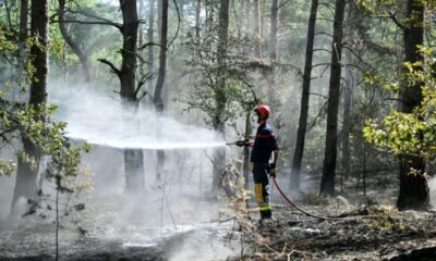 L'autoroute A6 rouvre à Fontainebleau, mais la forêt n'est pas encore hors de danger