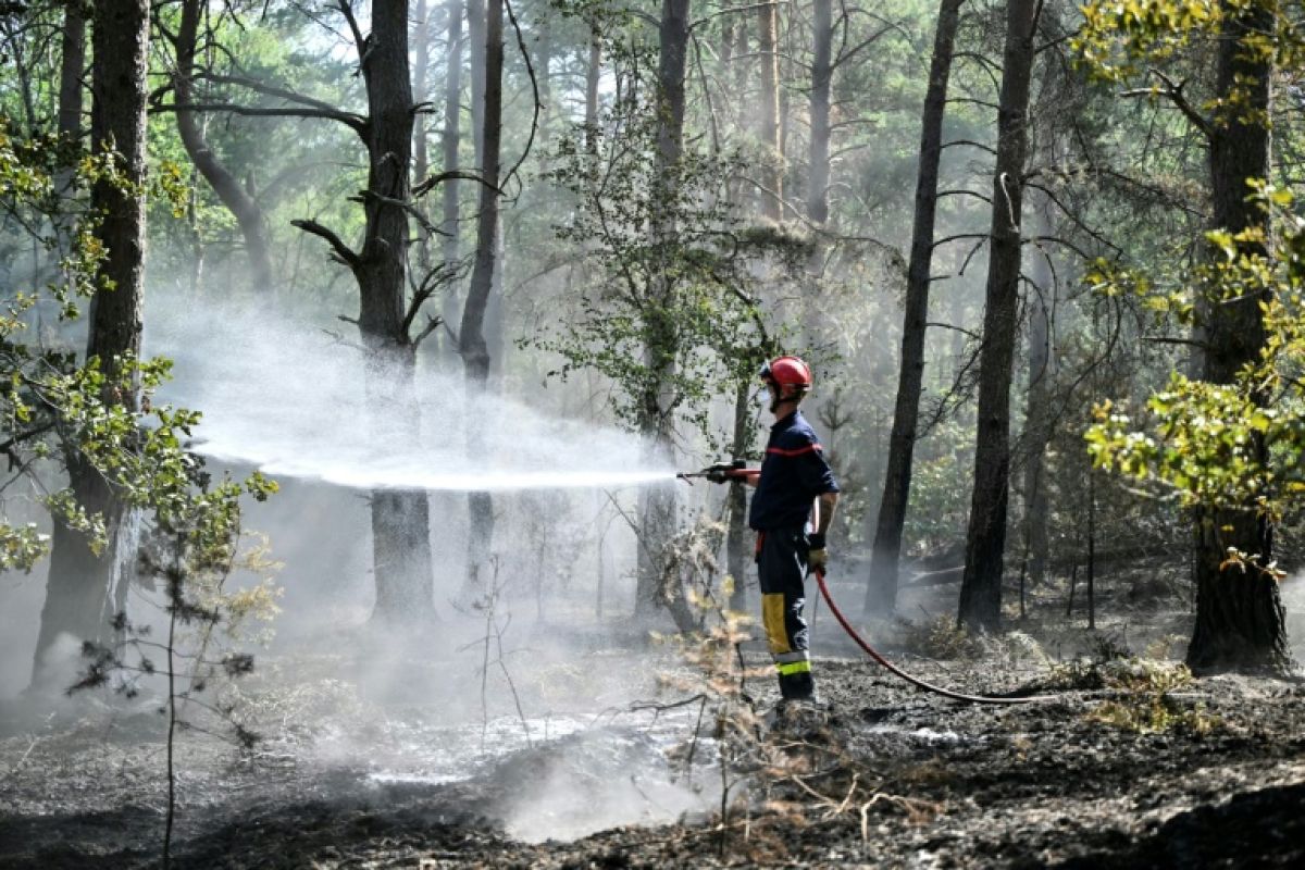 L'autoroute A6 rouvre à Fontainebleau, mais la forêt n'est pas encore hors de danger