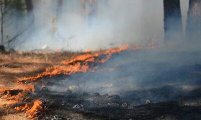 Un millier de vacanciers évacués en urgence face à un incendie qui ravage les Pyrénées-Orientales