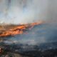 Un millier de vacanciers évacués en urgence face à un incendie qui ravage les Pyrénées-Orientales