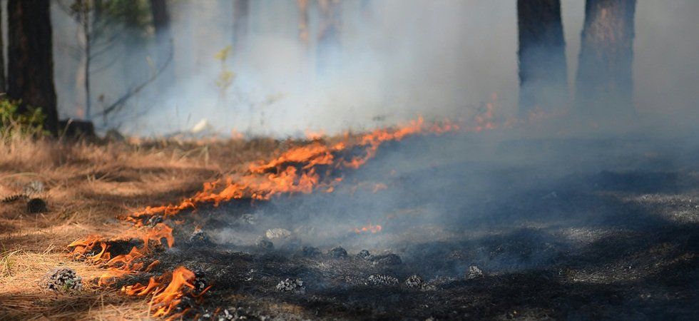 Un millier de vacanciers évacués en urgence face à un incendie qui ravage les Pyrénées-Orientales