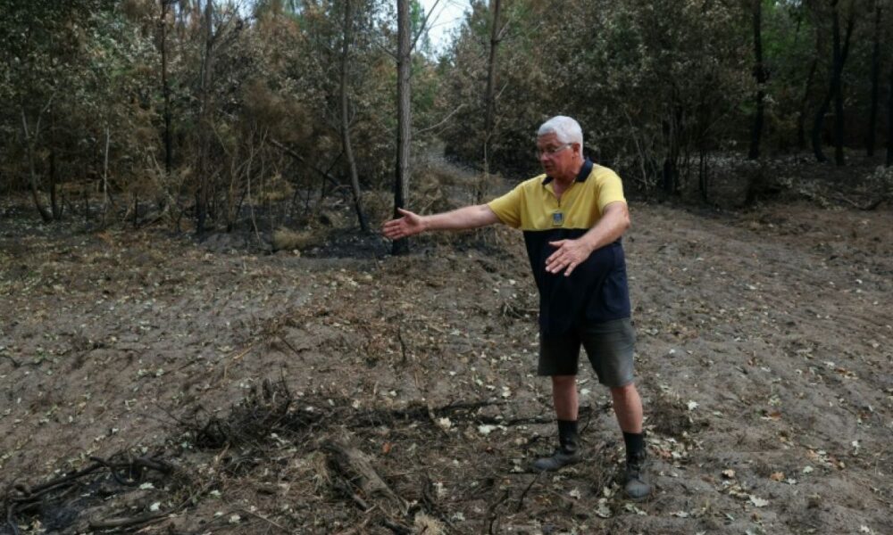 Leur forêt a brûlé après une étincelle, ils portent plainte contre l'entreprise