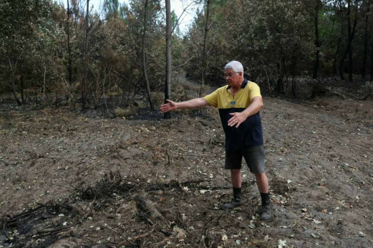 Leur forêt a brûlé après une étincelle, ils portent plainte contre l'entreprise