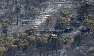 40 000 hectares partis en fumée, 111 personnes arrêtées : la saison des feux s’emballe en France