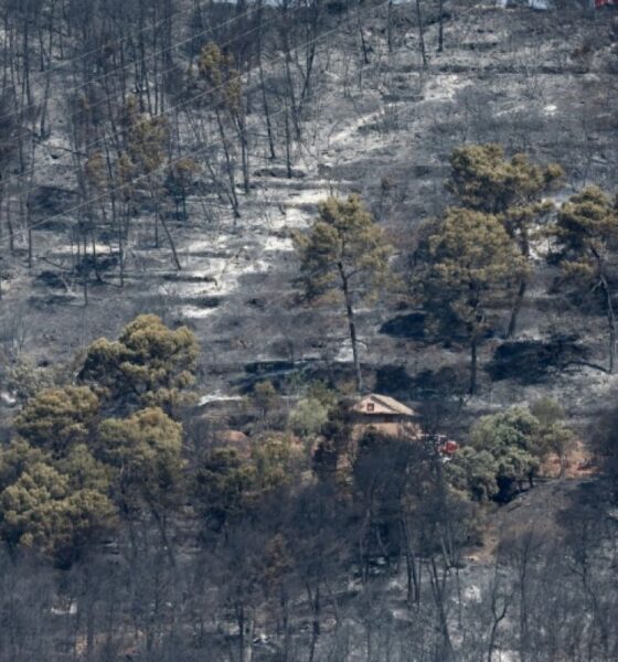 40 000 hectares partis en fumée, 111 personnes arrêtées : la saison des feux s’emballe en France