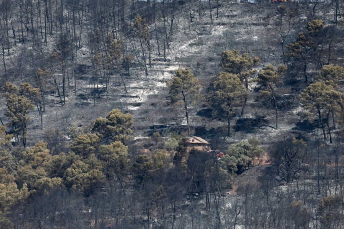 40 000 hectares partis en fumée, 111 personnes arrêtées : la saison des feux s’emballe en France