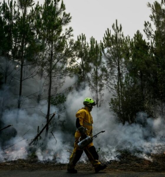 Les pompiers reprennent l'avantage sur le brasier géant de Gironde