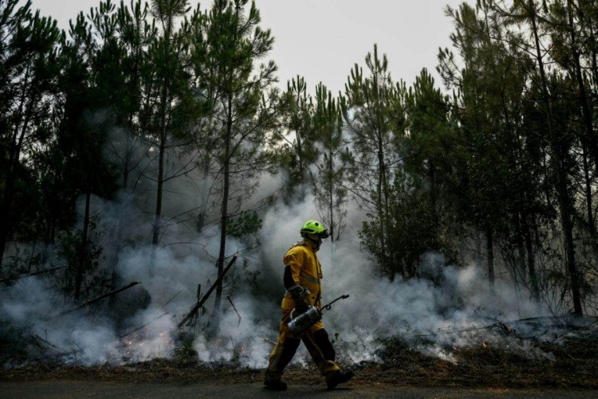 Les pompiers reprennent l'avantage sur le brasier géant de Gironde