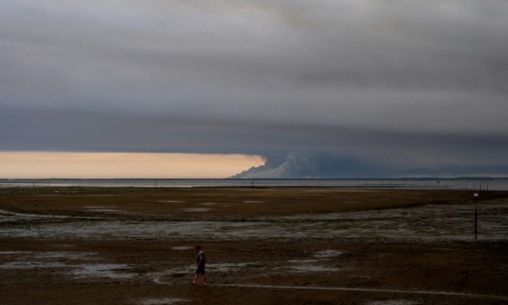 Biscarrosse panse ses plaies retour des habitants entre soulagement et peur du feu qui couve