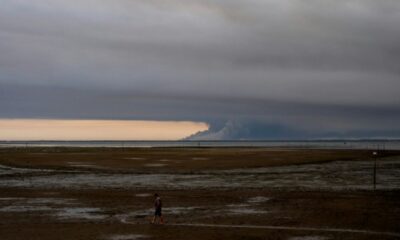 Biscarrosse panse ses plaies retour des habitants entre soulagement et peur du feu qui couve