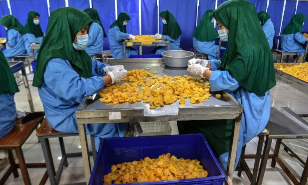 De l exil forcé à l usine de fruits secs le combat de Fatima pour s en sortir