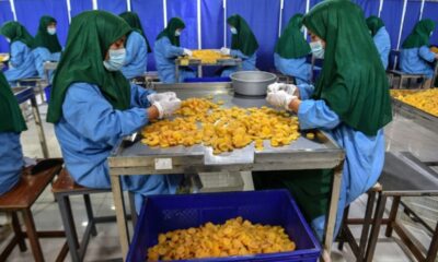 De l exil forcé à l usine de fruits secs le combat de Fatima pour s en sortir