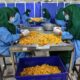 De l exil forcé à l usine de fruits secs le combat de Fatima pour s en sortir
