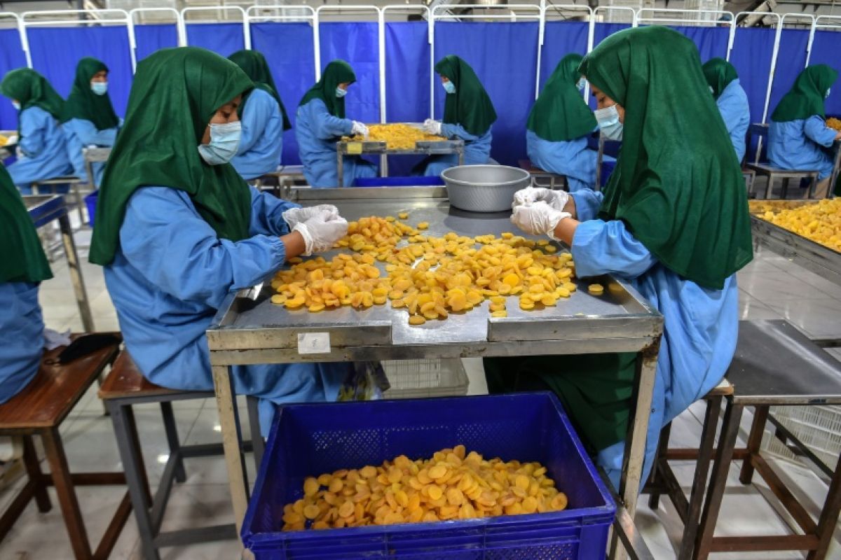 De l exil forcé à l usine de fruits secs le combat de Fatima pour s en sortir