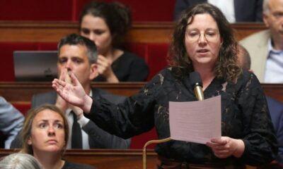 Canicule à l'Assemblée les Verts mettent le gouvernement au défi