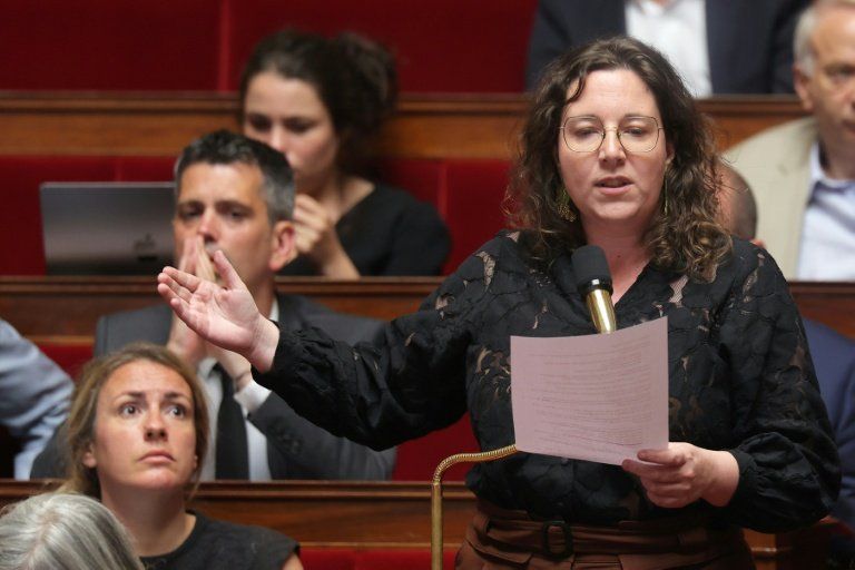 Canicule à l'Assemblée les Verts mettent le gouvernement au défi