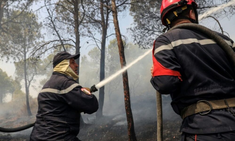 Algérie sous les flammes six morts et des promesses d'indemnisation