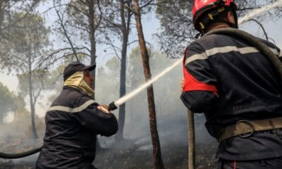 Algérie sous les flammes six morts et des promesses d'indemnisation