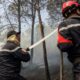 Algérie sous les flammes six morts et des promesses d'indemnisation