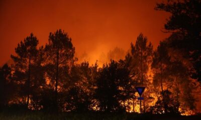 Bassin d Arcachon en feu 20 000 évacuations et un pompier blessé
