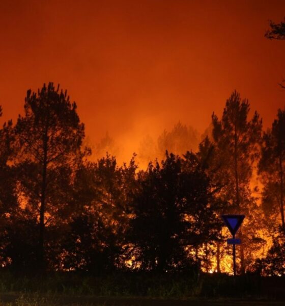 Bassin d Arcachon en feu 20 000 évacuations et un pompier blessé