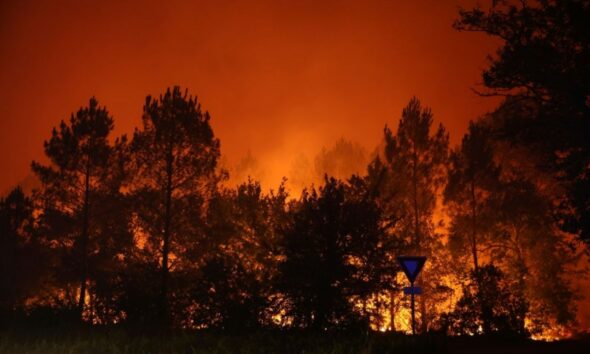 Bassin d Arcachon en feu 20 000 évacuations et un pompier blessé