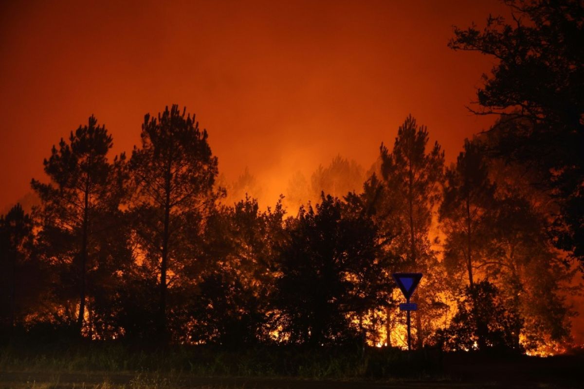 Bassin d Arcachon en feu 20 000 évacuations et un pompier blessé