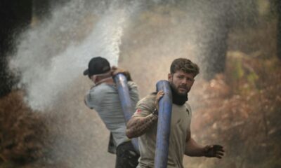 Un simple débroussaillement, puis le brasier géant