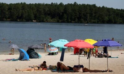 Ces grands enfants qui ne lâchent plus leurs cahiers de vacances