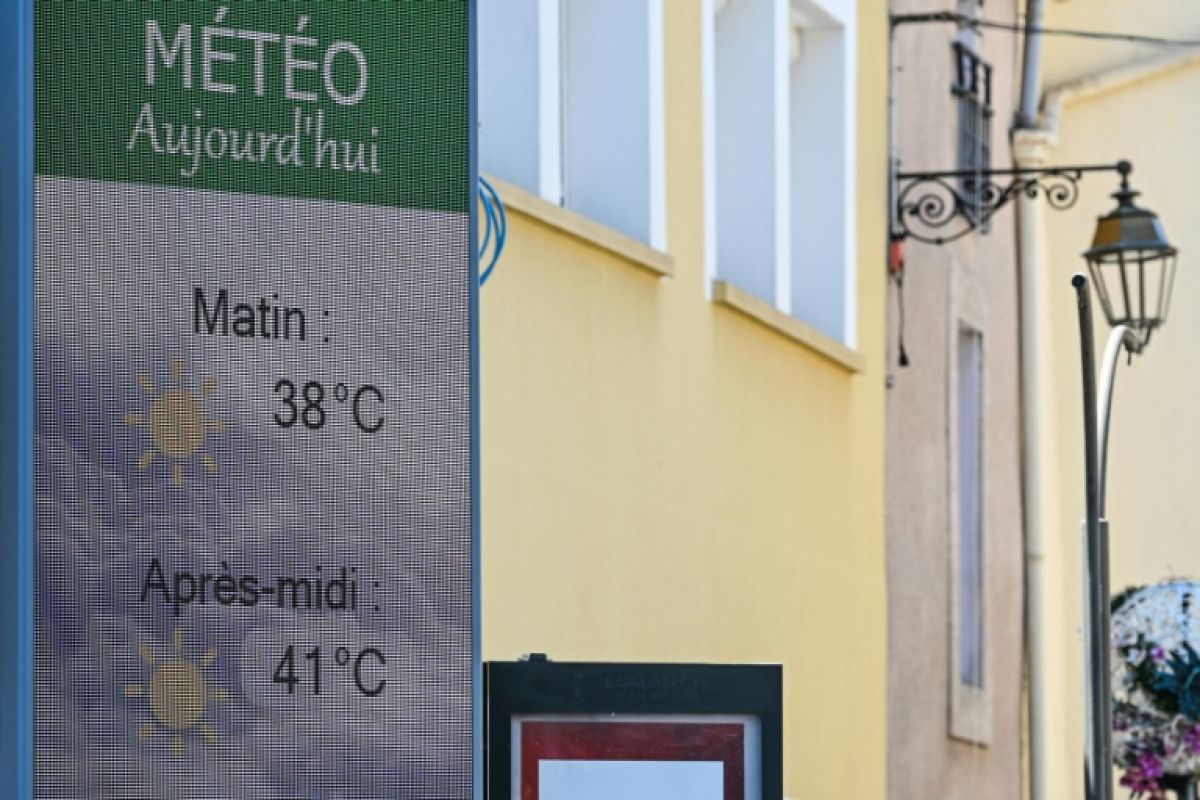 Canicule record et incendies la France étouffe sous une chaleur historique