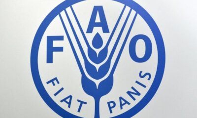 Bonne nouvelle sur les prix alimentaires mais El Niño se profile