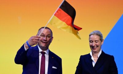 AfD le parti d extrême droite allemand reconduit ses chefs malgré la vague de contestation
