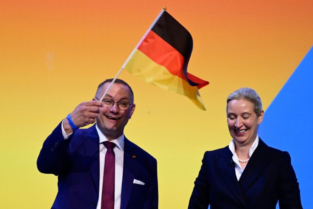 AfD le parti d extrême droite allemand reconduit ses chefs malgré la vague de contestation
