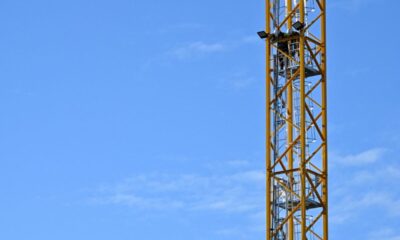 La promesse de renaturer chaque hectare construit d'ici 2050 est-elle déjà en train de s'effriter ?