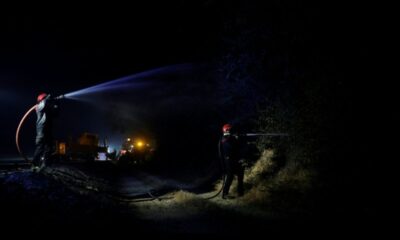 Forêt de Fontainebleau en flammes, des villageois racontent leur nuit d'angoisse