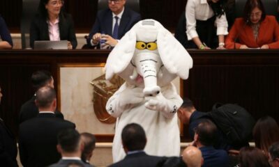 Un déguisement d'éléphant pour dénoncer la corruption