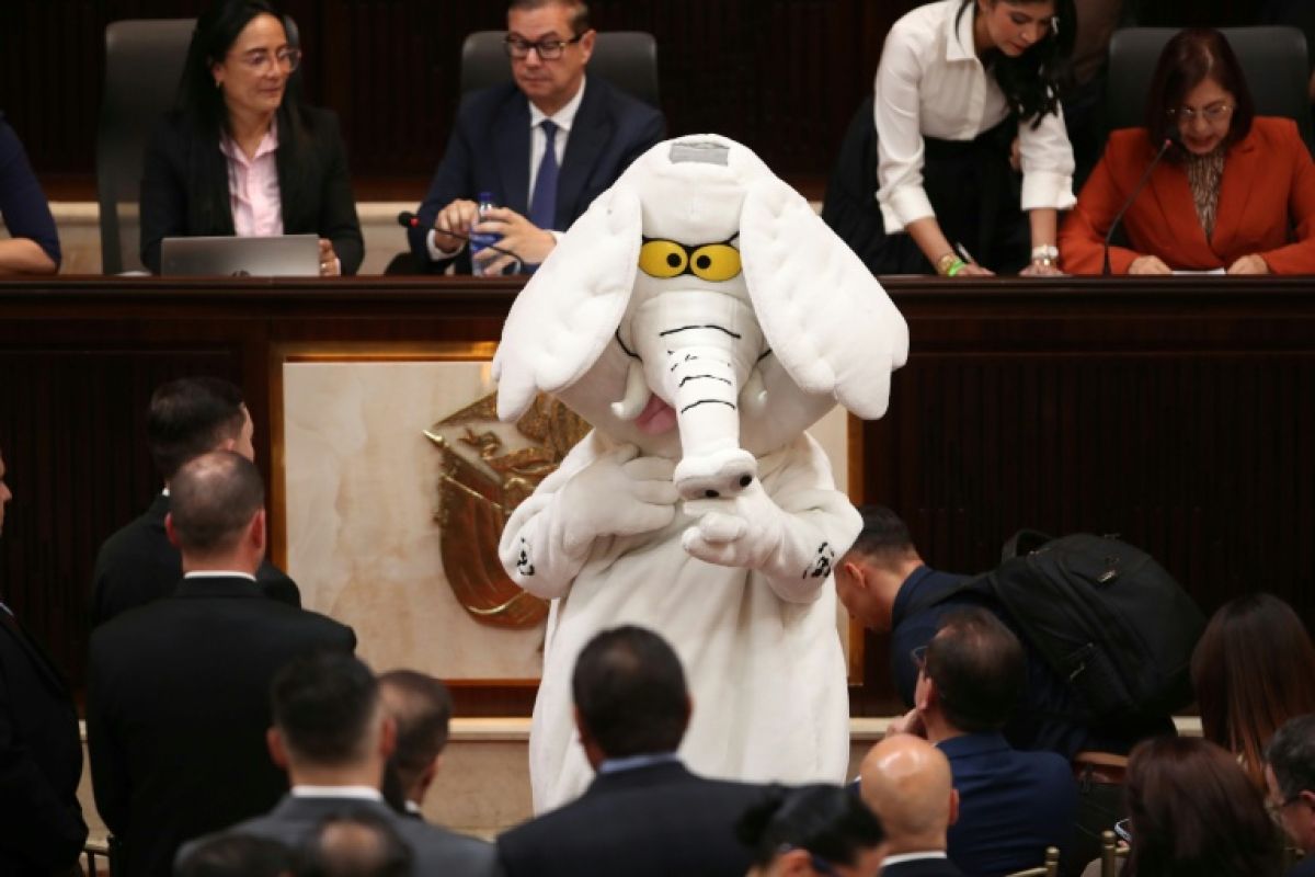 Un déguisement d'éléphant pour dénoncer la corruption