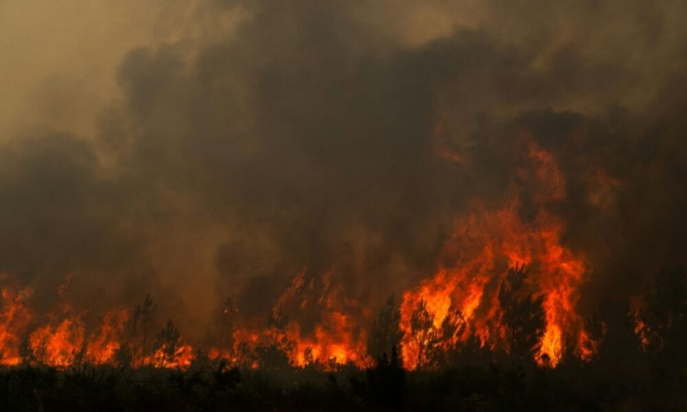 Incendie géant en Gironde 220 000 évacués et le feu aux portes de Bordeaux