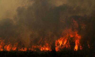 Incendie géant en Gironde 220 000 évacués et le feu aux portes de Bordeaux