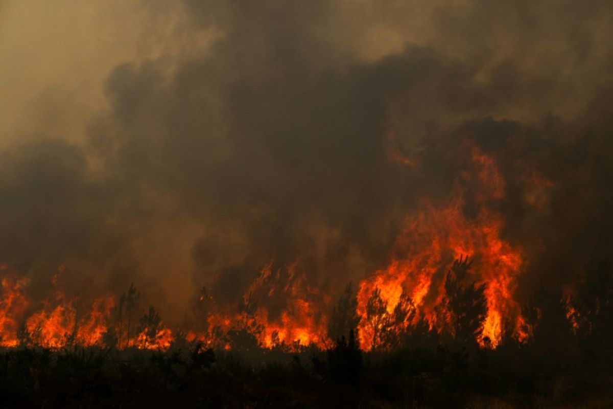 Incendie géant en Gironde 220 000 évacués et le feu aux portes de Bordeaux