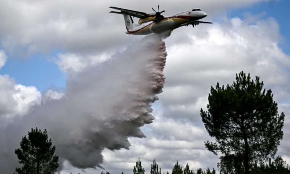 Incendies dans le Sud la saison des feux démarre un mois plus tôt