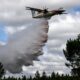 Incendies dans le Sud la saison des feux démarre un mois plus tôt