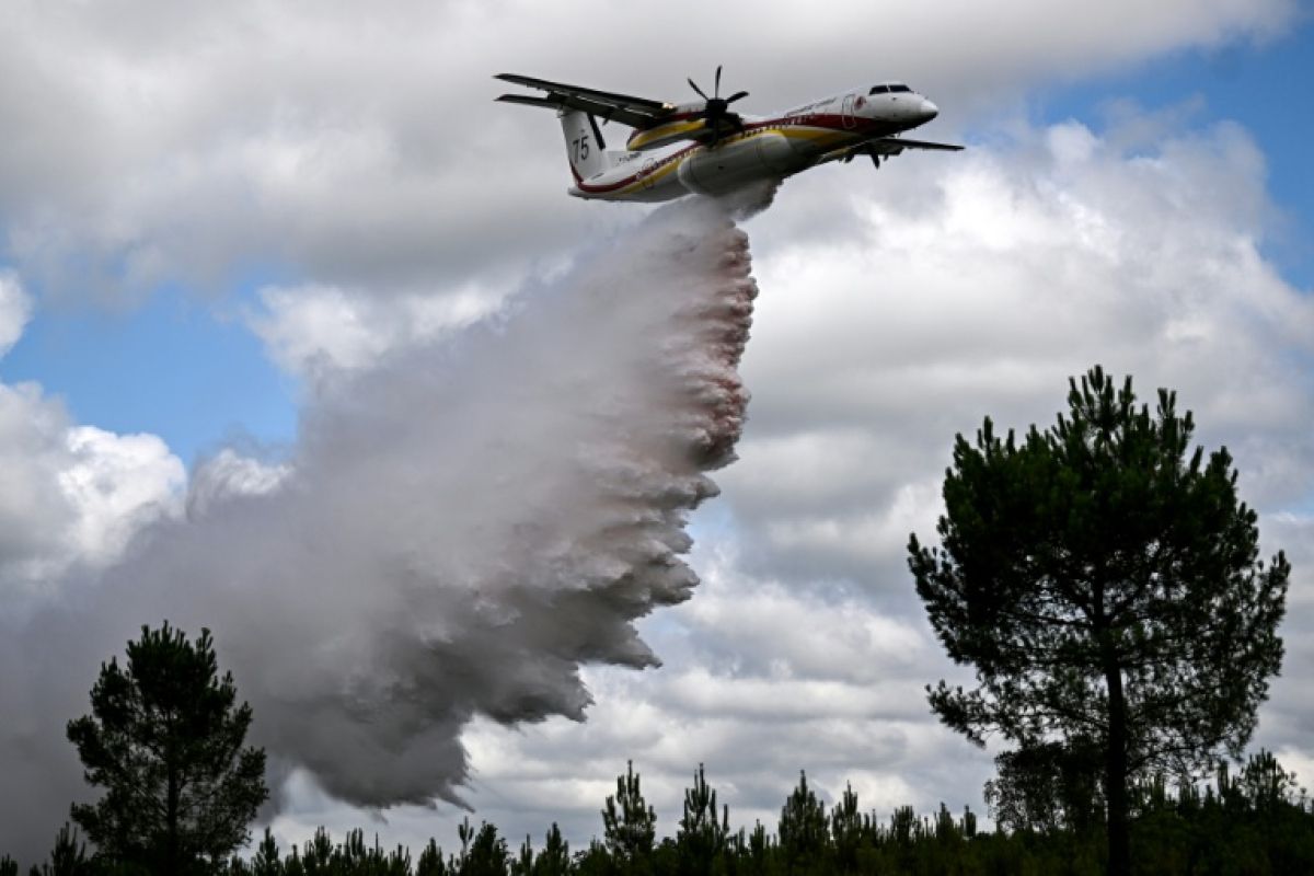 Incendies dans le Sud la saison des feux démarre un mois plus tôt