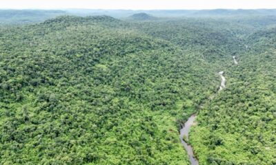 Le retour des tigres au Cambodge fait peur aux habitants