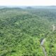 Le retour des tigres au Cambodge fait peur aux habitants
