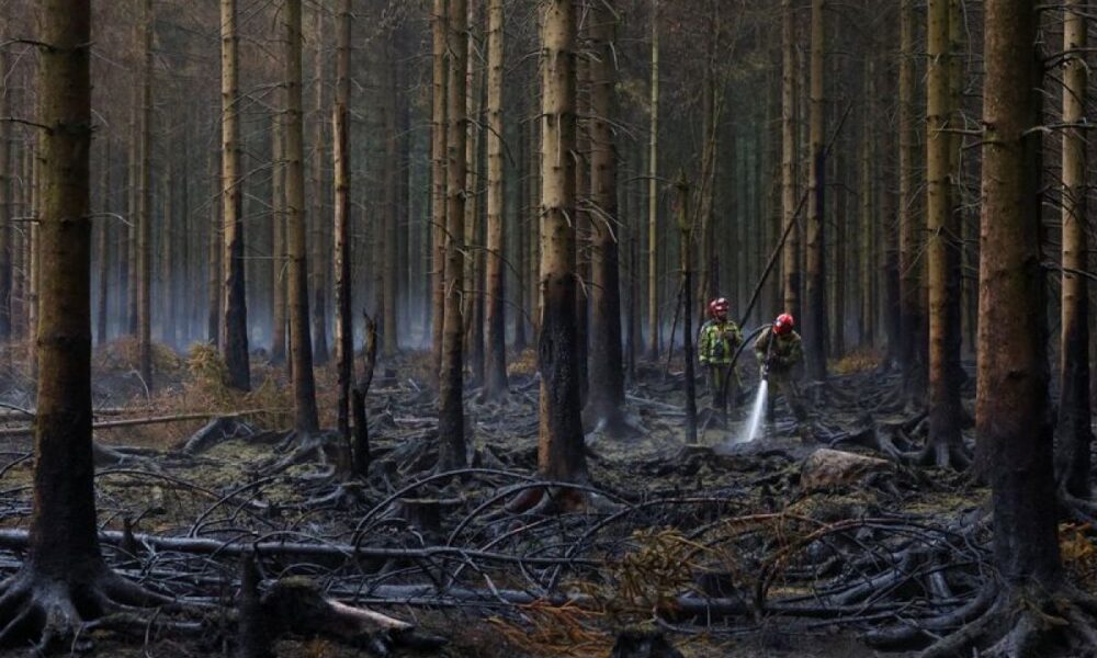 La facture des catastrophes climatiques s'envole et retombe sur les États européens