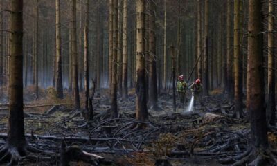 La facture des catastrophes climatiques s'envole et retombe sur les États européens