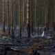 La facture des catastrophes climatiques s'envole et retombe sur les États européens