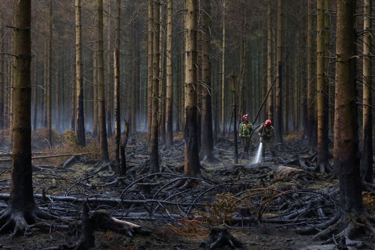 La facture des catastrophes climatiques s'envole et retombe sur les États européens