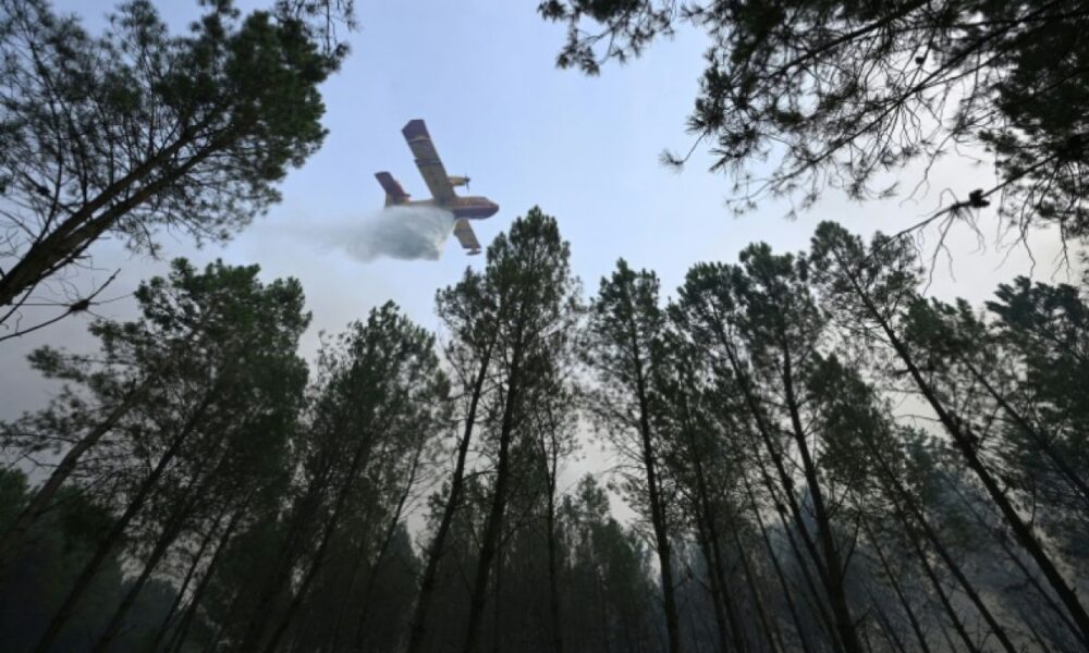Dans les Landes, les pompiers traquent les braises qui se réveillent